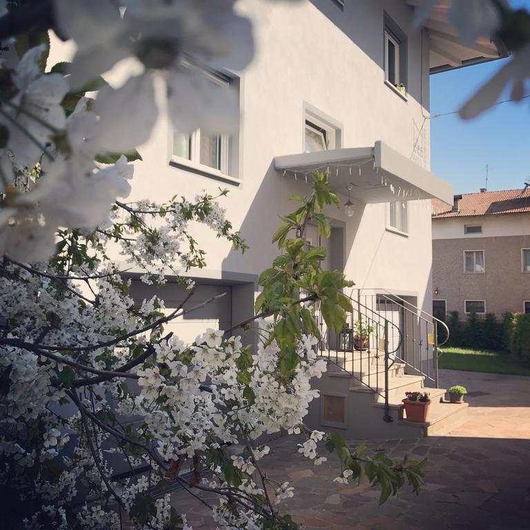 Nenez B&B Giovo Exterior foto